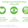Omega-3 Vegan olaj + kapszula - Image 3